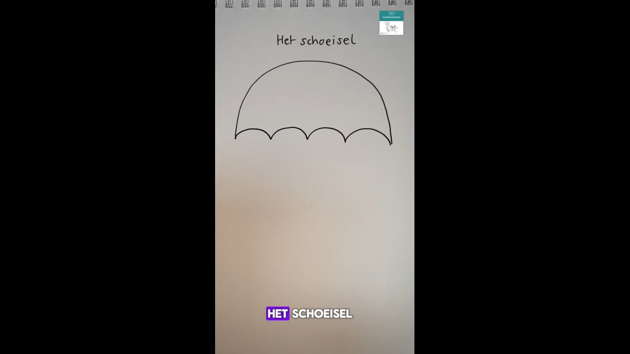 Schoeisel (het) - woordparachute (zie ook schoen, laars, slof, slipper en klomp onder categorie kleding)