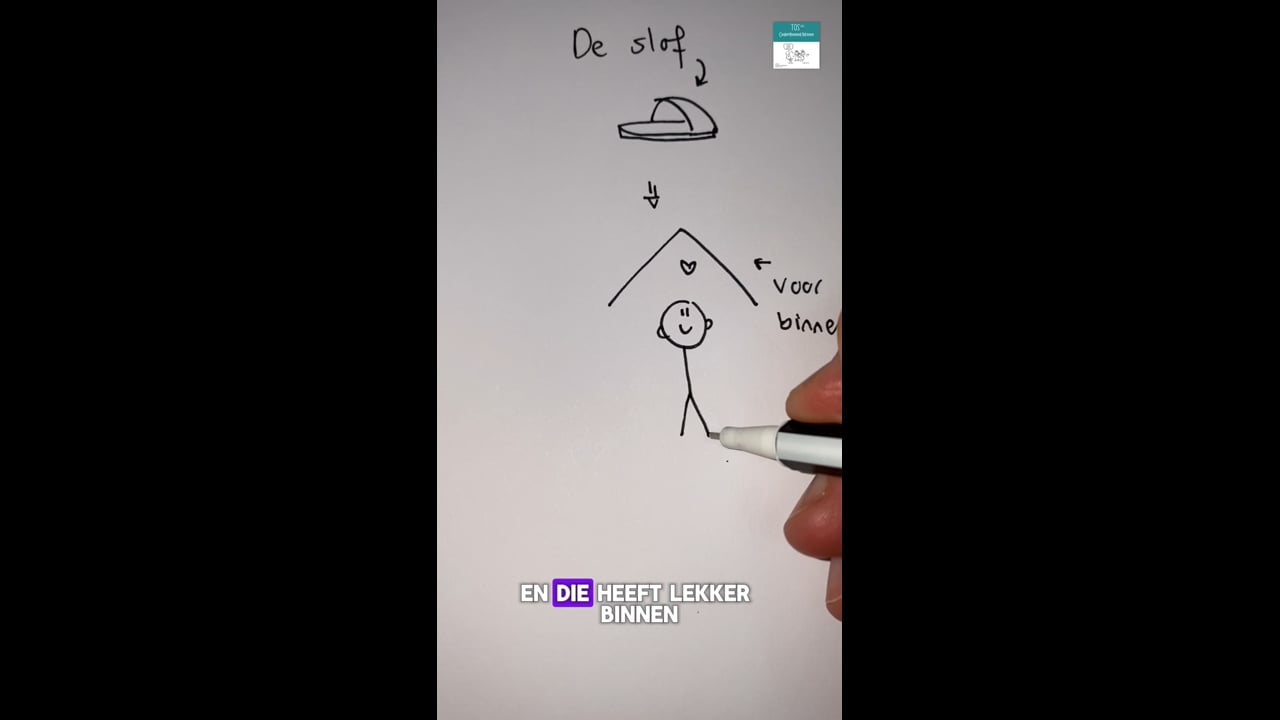 slof (de): zie ook de woordparachute "het schoeisel"