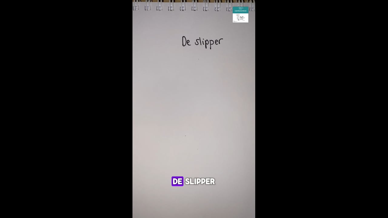 slipper (de): zie ook de woordparachute "het schoeisel"