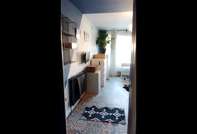 Double room, single bed in garden flat (Females) Main Photo