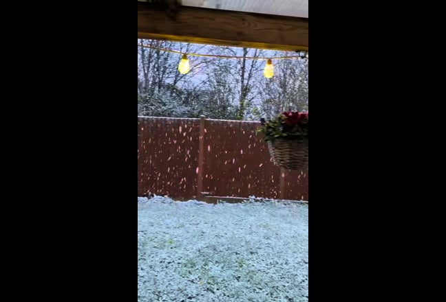 Spacious Room Surrounded By Nature - Big Bargain!  Main Photo