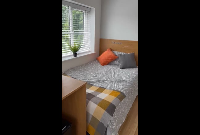 En-suite room in Young Village Main Photo