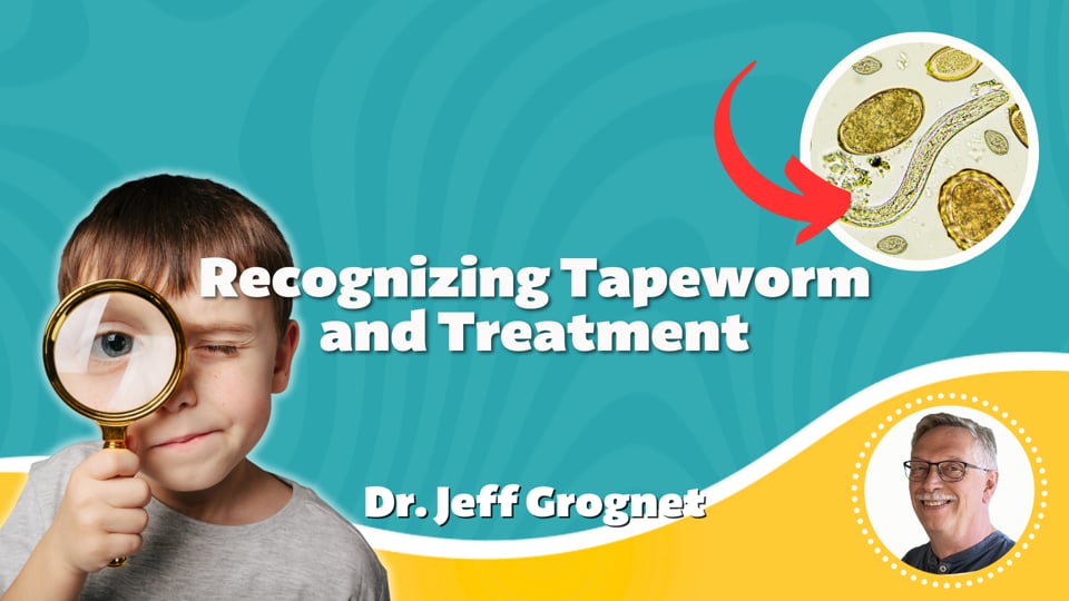 Recognizing Tapeworm and Treatment