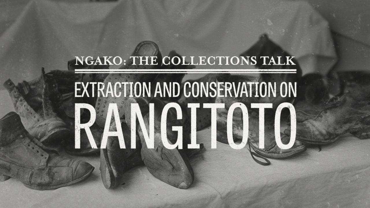Rangitoto - Extraction and Conservation