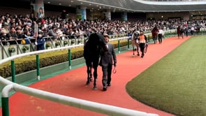 動画サムネイル