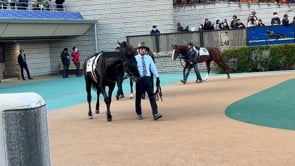 動画サムネイル