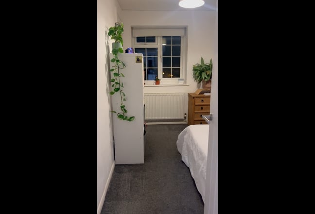 Room for rent  Main Photo