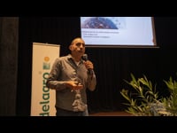 Enfermedades vectoriales en bovino: ¿qué está cambiando?