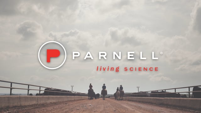 Parnell Commercial