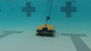 Maytronics Dolphin Wave 200 XL