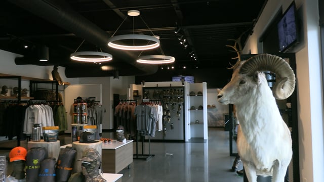 CANIS | Napkin Stories