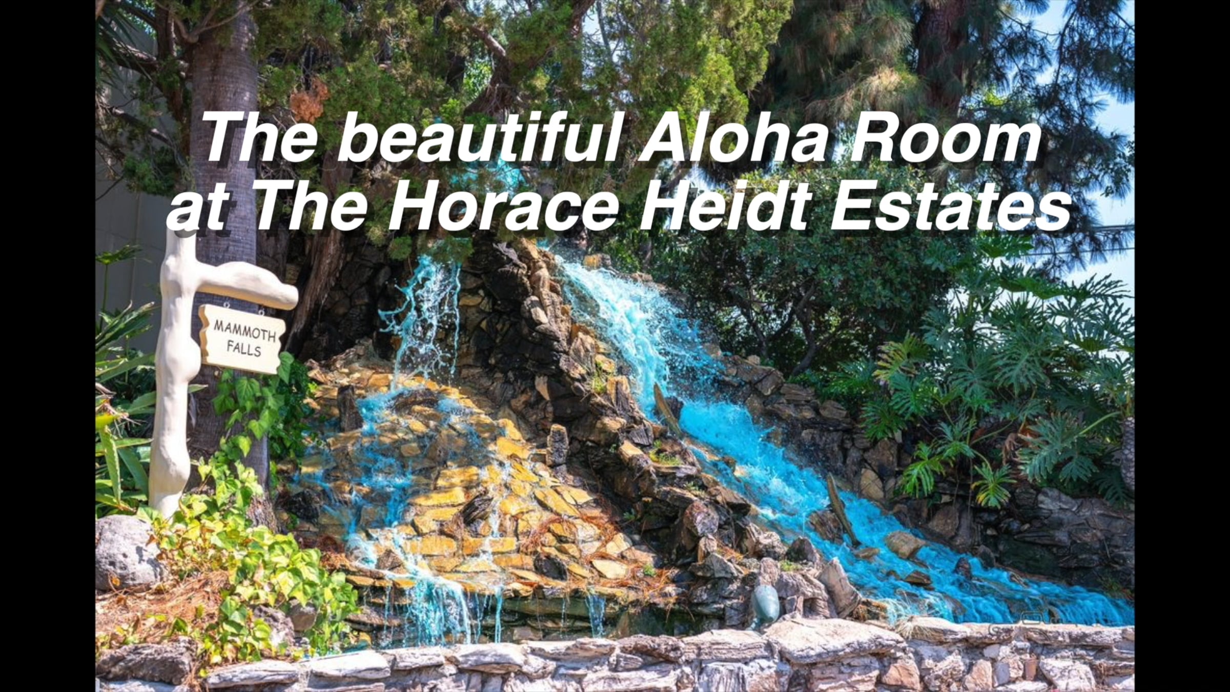 Aloha Room video | Videos & Movies on Vimeo