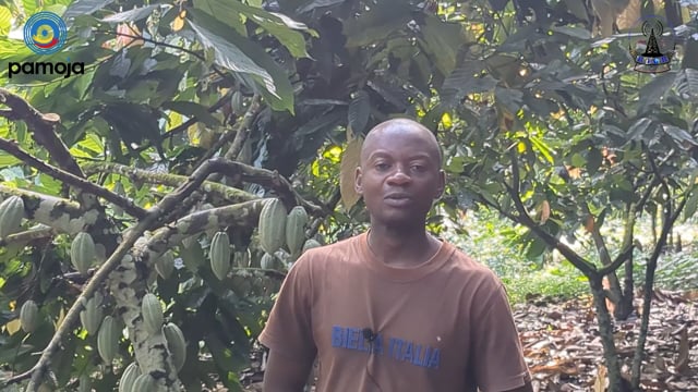 Irumu : le cacao, pilier du développement