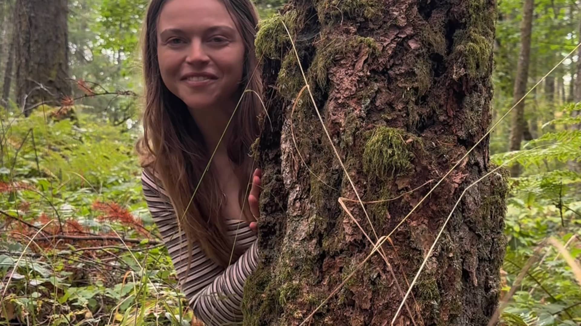 Living Stump - The Nature Educator Reel