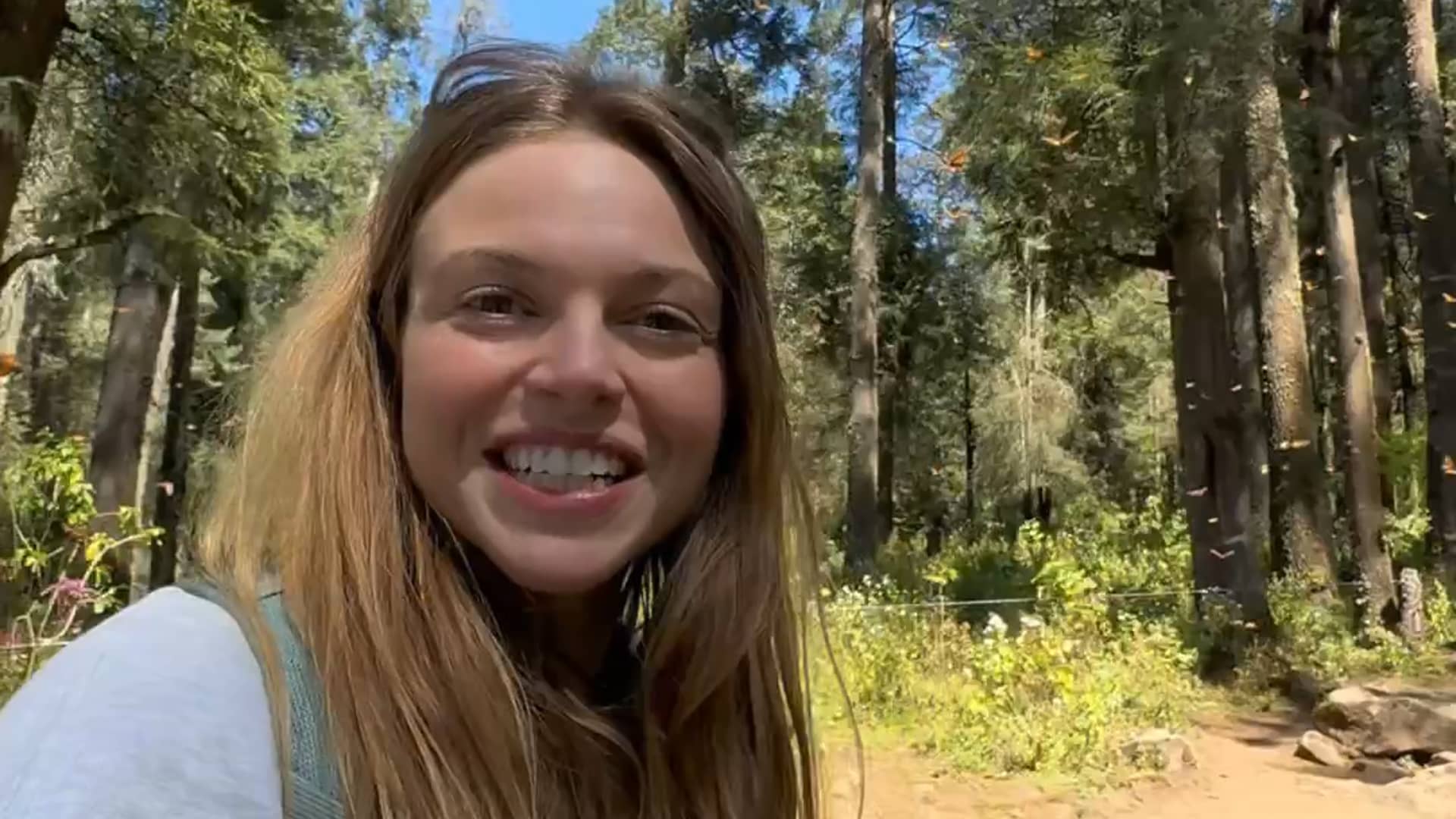 Monarch Butterly Migration - The Nature Educator