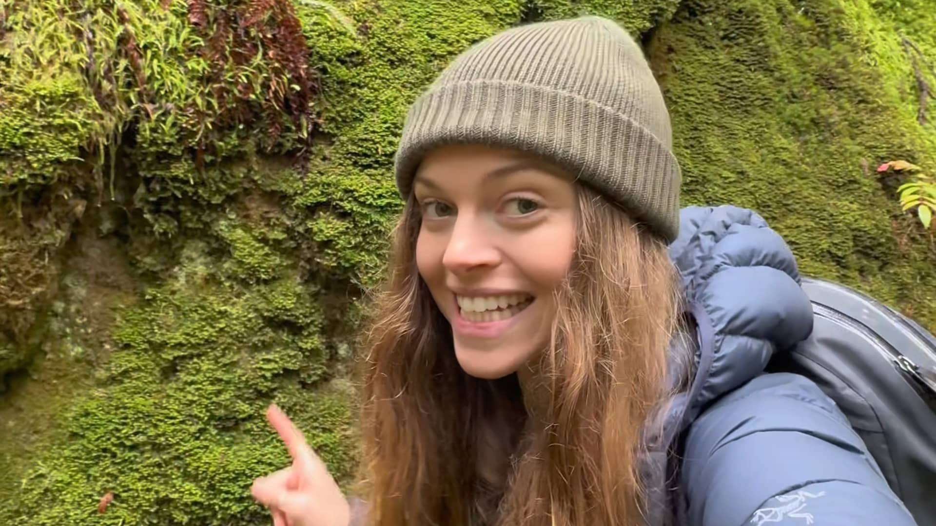 Moss Vs Liverworts - The Nature Educator