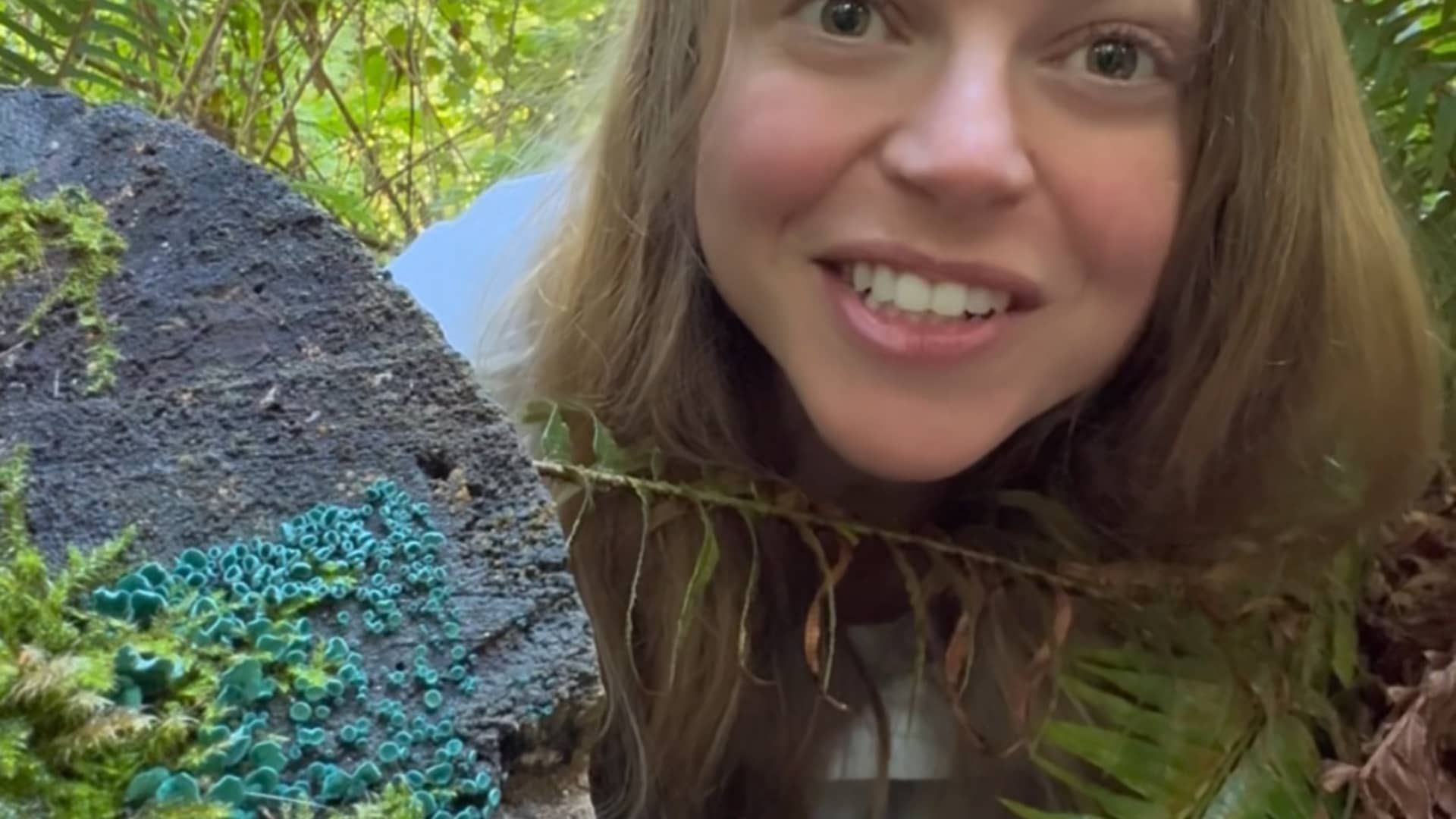 Blue Green Elf Cups - The Nature Educator
