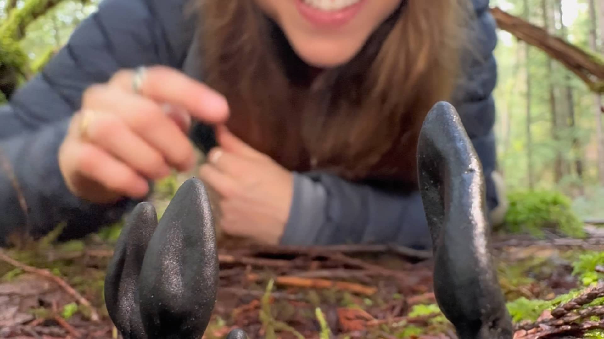 Velvety Black Earth Tongue - Rachael the Nature Educator