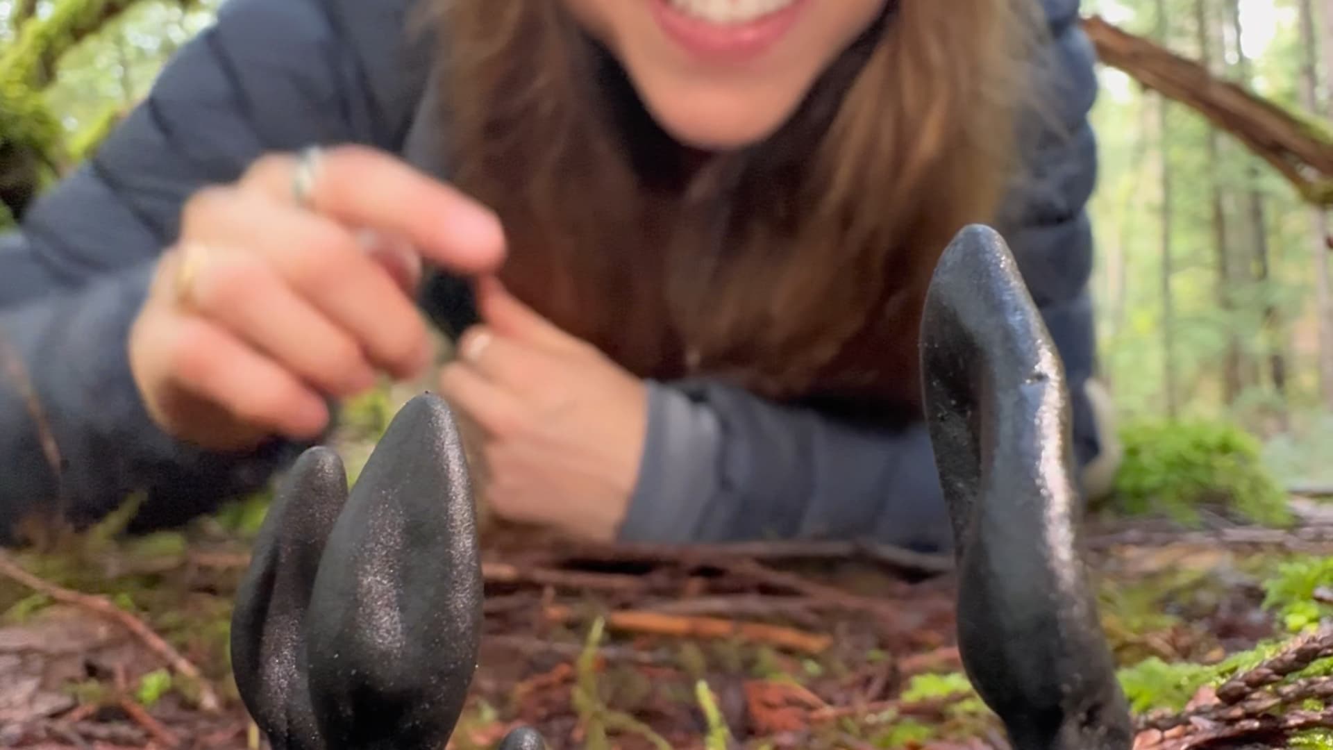 Velvety Black Earth Tongue - Rachael the Nature Educator