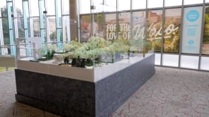 Explore the Model of Waco's Future