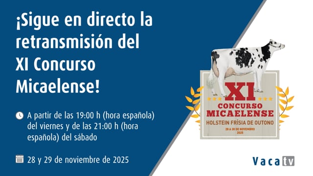 El concurso, en directo