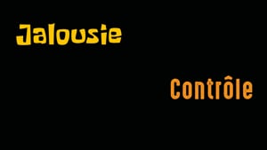 RTN - Vidéos victime pas seule 2 - 26.11