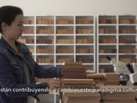 Transversalizar la perspectiva de género en el sector madera - CITEMADERA