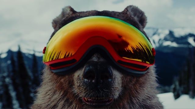 Petro Canada - It's No Time To Hibernate