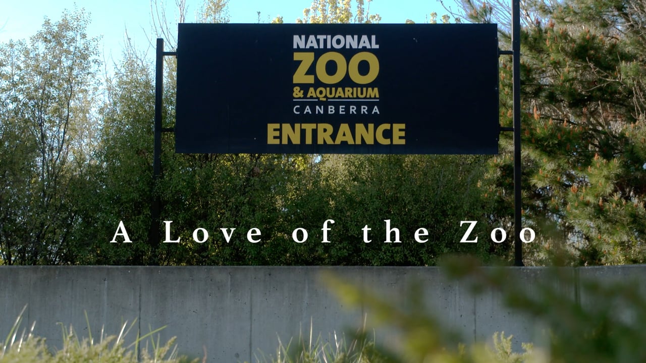 A Love of the Zoo