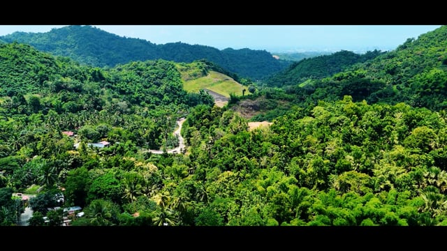 Thumbnail - K-12 School