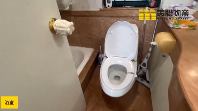 新都城 將軍澳 中層 1779356 售盤