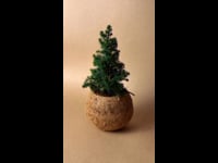 kokodama arbol navidad