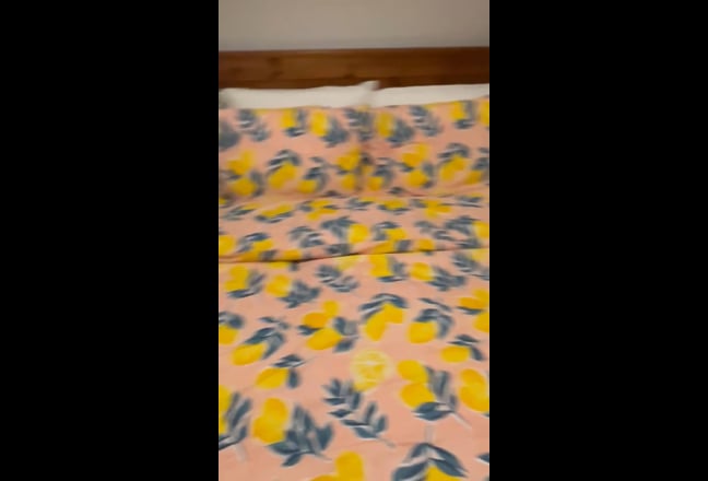 Fully furnished 1 Bed apartment in Gorgie Main Photo