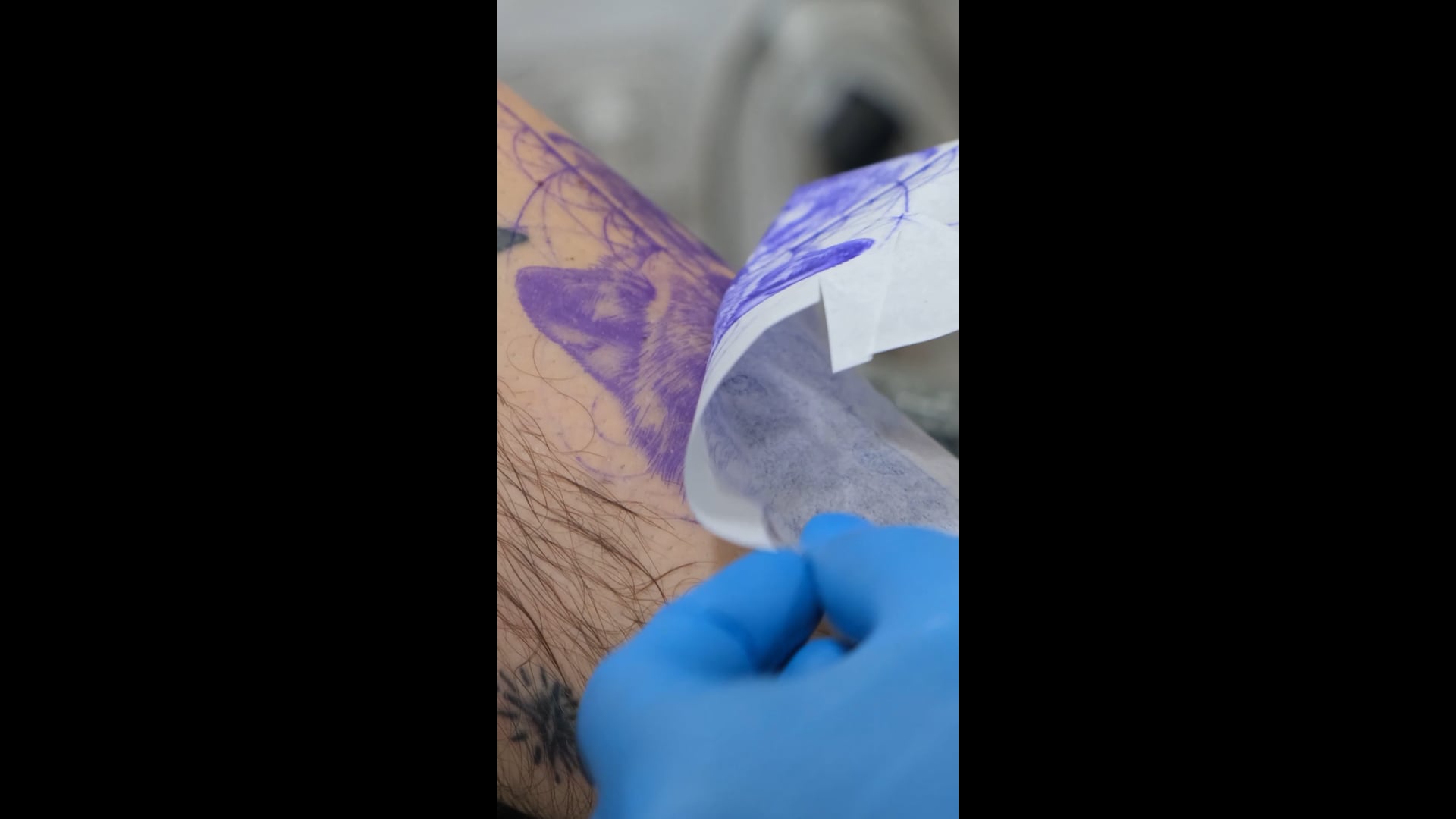 Pruva ink - Beylikdüzü dövme-kurt