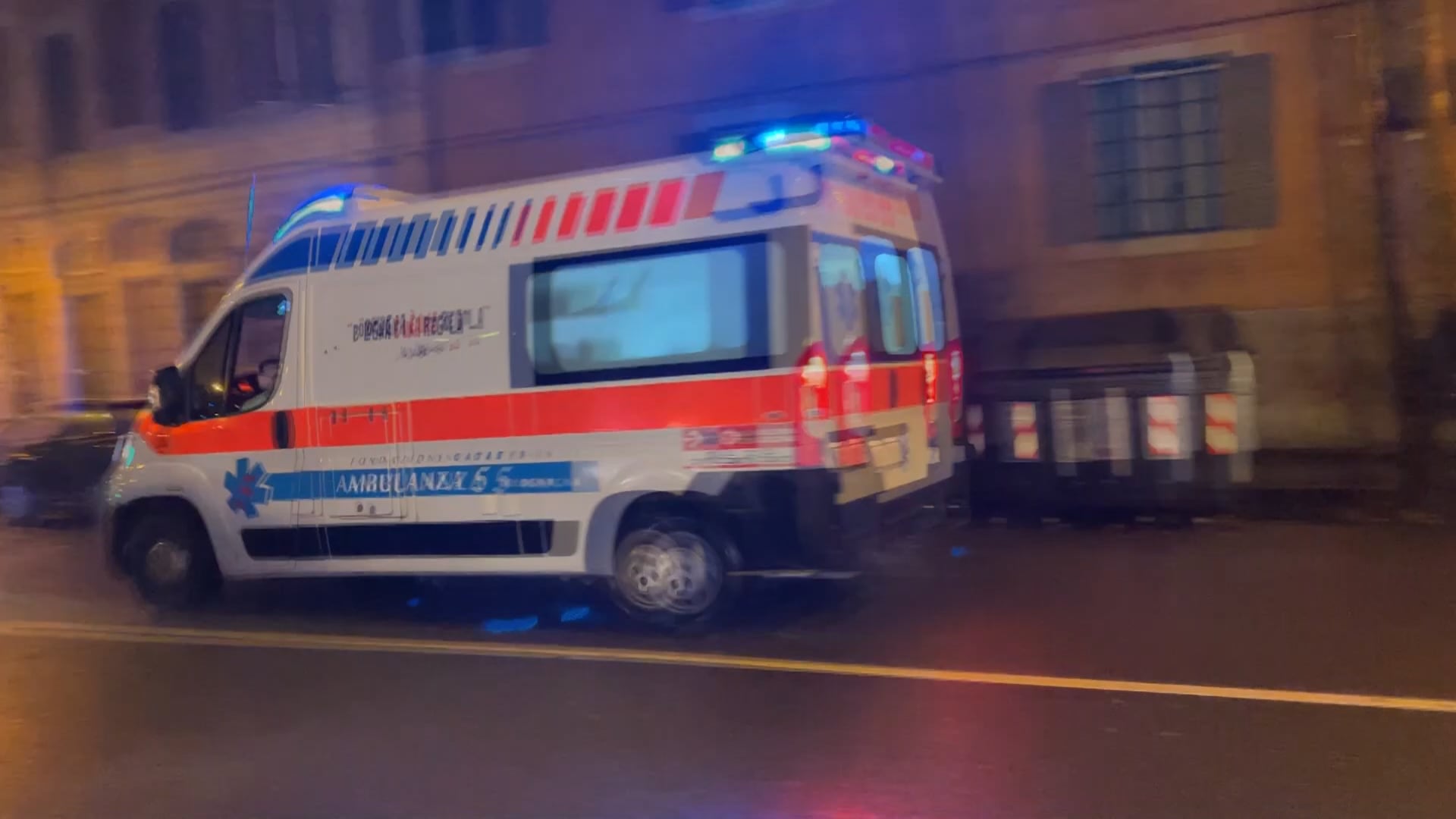 Ha cercato di separare due cani che litigavano, è stata morsa a un braccio