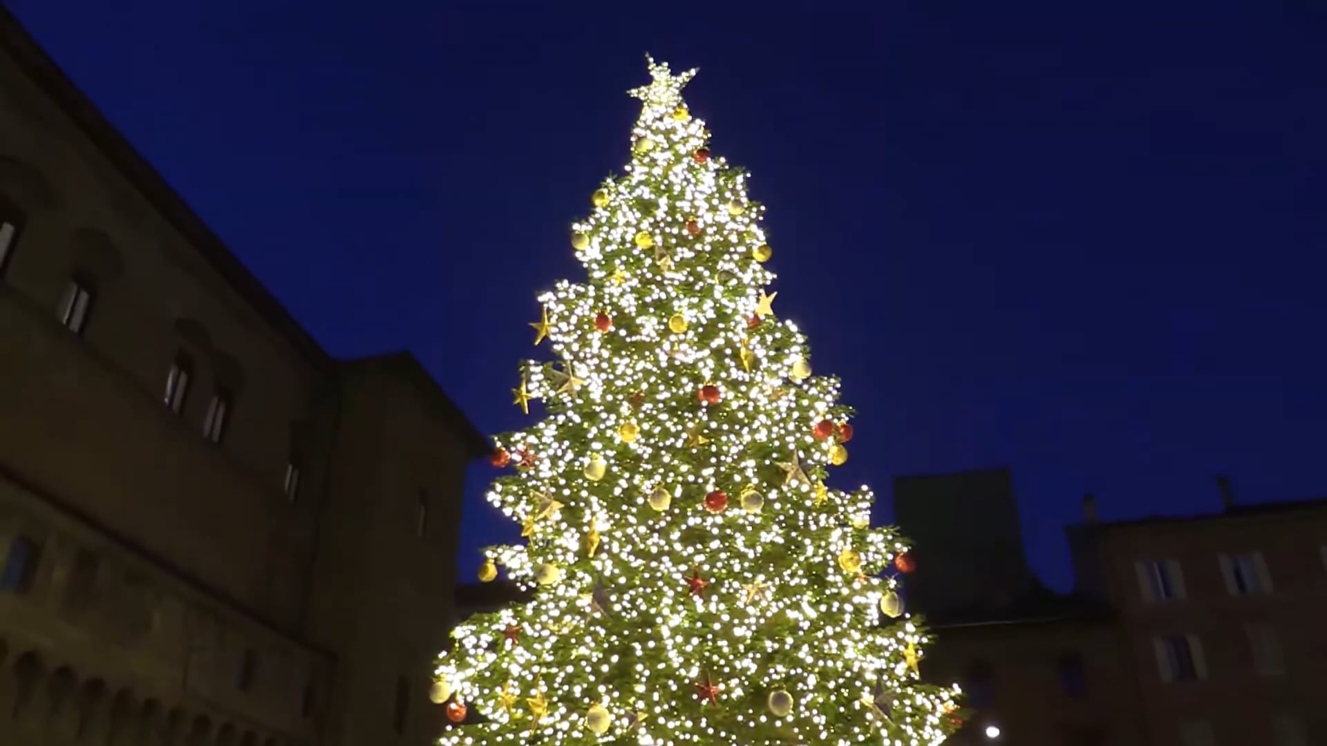 Natale a Bologna: ecco l’albero e la torre illuminati