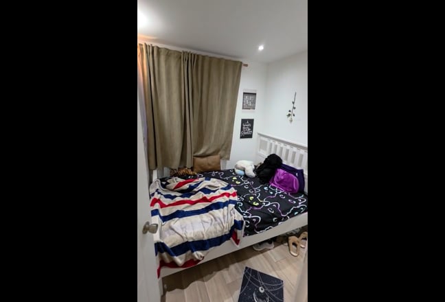 You'll Love This Vegitarian House Main Photo