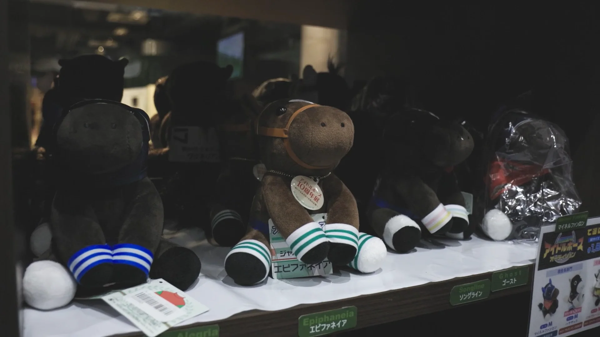 Everything a Horse Lover Desires: Tour Tokyo Racecourse's Gift