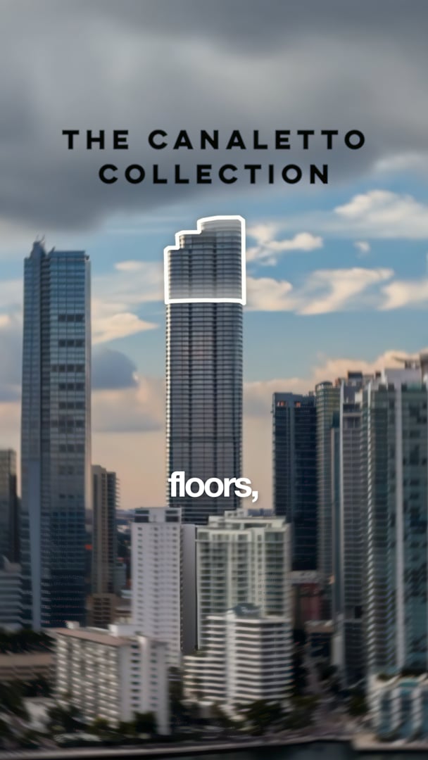 Cipriani Short · 05 · Canaletto Collection