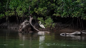 Ever Lodges - A new era in Australian Experiential Travel