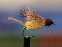 LaFontaine Sparkle Emerger - From Tightline Productions