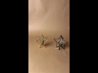 Estrellas de árbol tillandsias