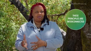 Related Embedded Video Item Thumbnail