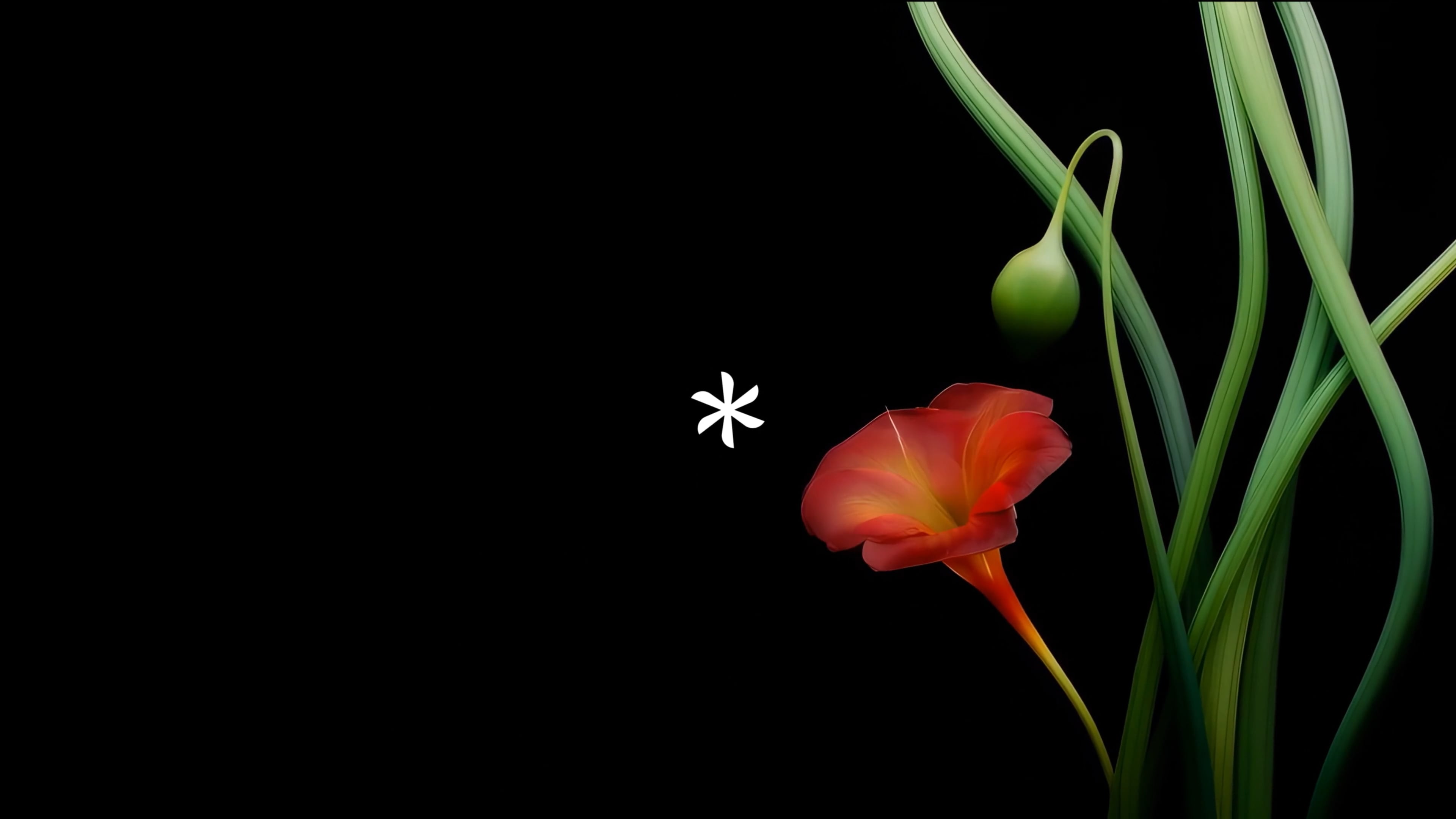 Flank.ai - Product Film