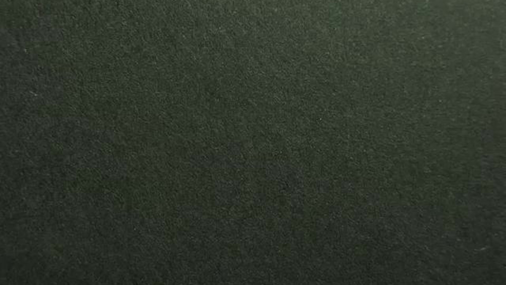 Graft by Ruth Turner