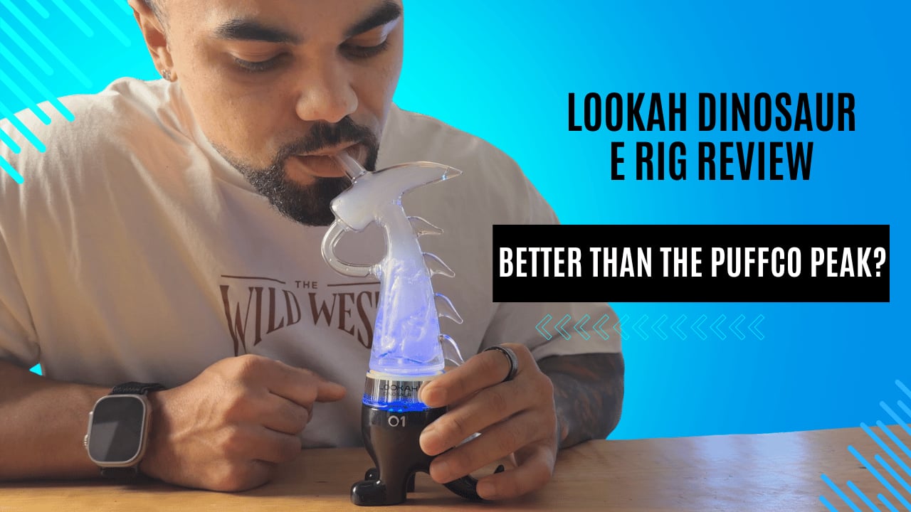 Lookah Dinosaur Review