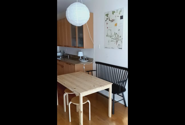 Large room w/ private bathroom in Brooklyn, 11230 Main Photo