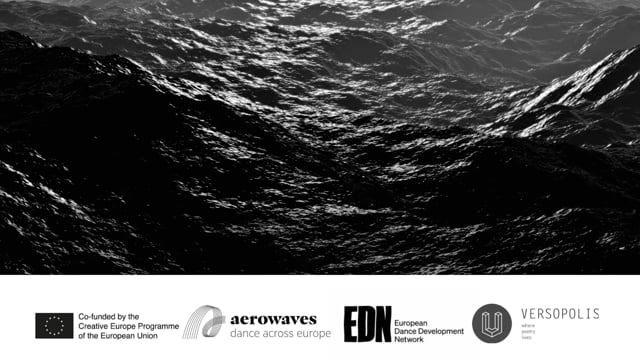 The first webinar focuses on how cultural organisations can reduce the environmental impact of their everyday digital office practices (emails, cloud storage, websites, hardware use, etc.), while also improving team organisation and wellbeing at work. It was led by Gwendolenn Sharp, founder and director of The Green Room. The session was video recorded via Zoom on 10 October 2025 and edited by Miha Turk.
