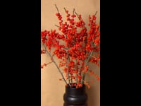 Ramo de Acebo Rojo con Jarrón