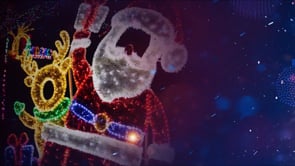 Wild Lights Cameron Park Zoo 2025!